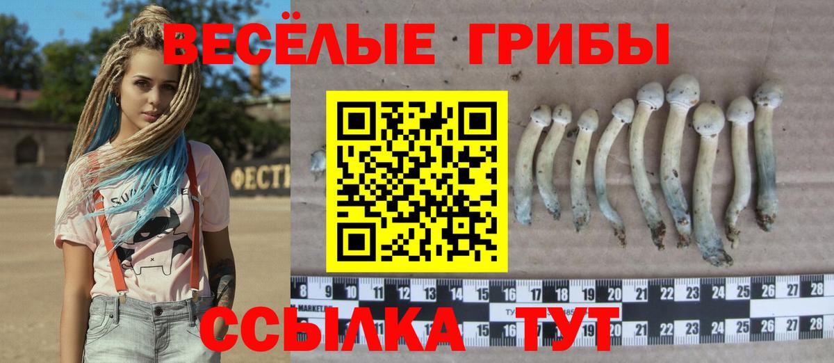 Орск  наркошоп  Вход с VPN  Галлюциногенные грибы Magic Shrooms 